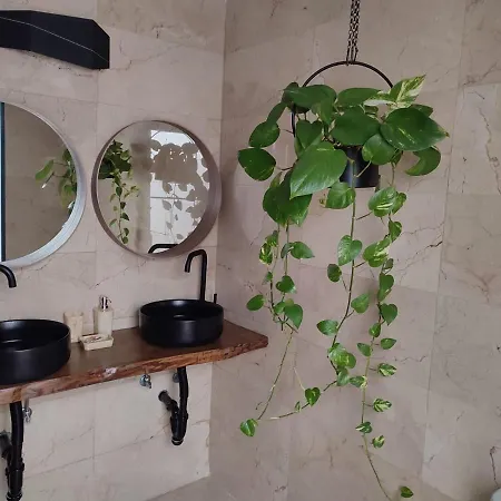 Apartment Alegranza Chic